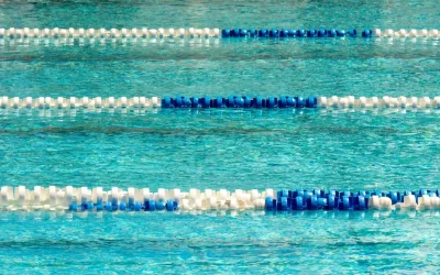 Structurer la cohérence de la voix éditoriale sans perdre la liberté créative